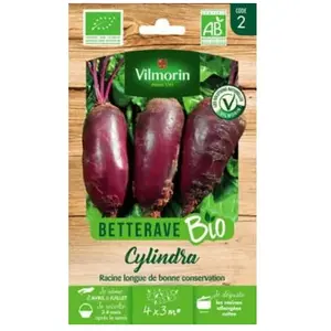 Betterave cylindra bio Vilmorin