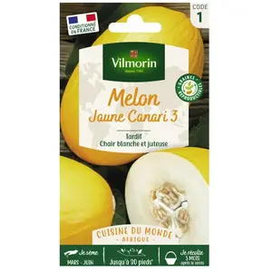 VILMORIN Sachet graines melon jaune canari