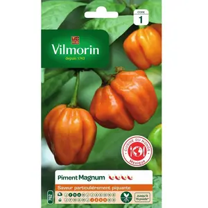 VILMORIN Sachet graines Piment Magnum orange