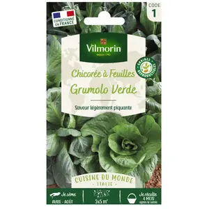 Vilmorin - Sachet graines Chicorée à feuilles Grumolo Verde pas cher