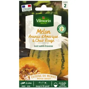 Vilmorin - Sachet graines melon ananas pas cher