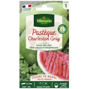 VILMORIN Sachet graines Pastèque Charleston Gray