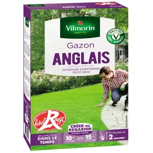 VILMORIN Gazon anglais en boîte - 250 g