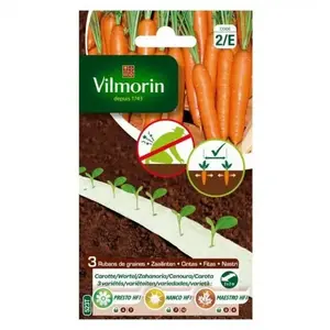 Vilmorin - Ruban de graines saison de carottes HF1 ( presto, nanco , maestro )