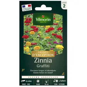 VILMORIN Zinnia graffiti