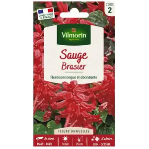 VILMORIN Sauge brasier pas cher