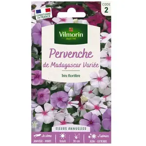 VILMORIN Pervenche de Madagascar pas cher