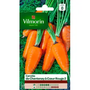 VILMORIN Carotte de Chantenay à coeur rouge 2