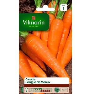 VILMORIN Carotte de Meaux longue pas cher