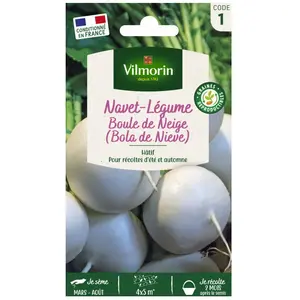VILMORIN Navet rond boule de neige