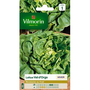 VILMORIN Laitue val d’orge pas cher