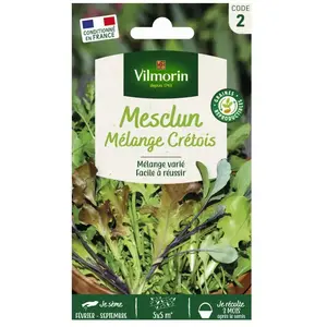 VILMORIN Mesclun cretois pas cher