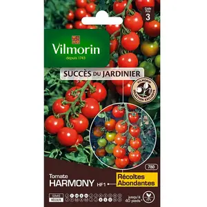 VILMORIN Tomate harmony Sachet de graines