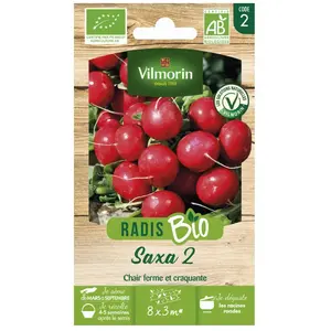 Graines de radis variété "Saxa 2" Vilmorin semis de mars à septembre pas cher