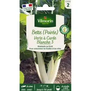 Bette poiree verte a carde blanche Vilmorin pas cher