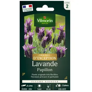 sachet graines Lavande Papillon Lavandula stoechas vilmorin