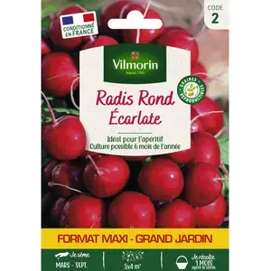 VILMORIN Radis rond écarlate pas cher