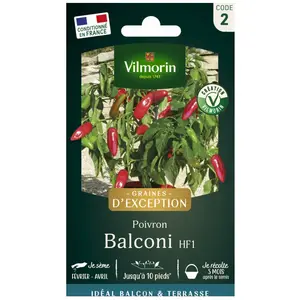 Comparateur de prix : Vilmorin 3823842 Poivron Rouge 9 x 0,5 x 16 cm