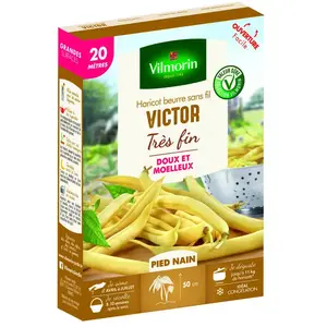 VILMORIN Graines de haricot victor - 20 M