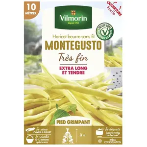 VILMORIN Haricot beurre sans fil MONTEGUSTO très fin - 10 mètres