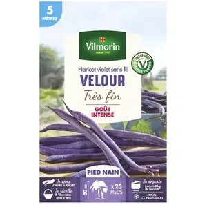 VILMORIN Graines de haricot velour gousse violette - 5 M