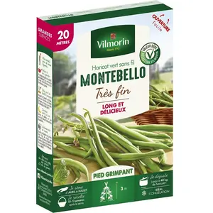 VILMORIN Graines de haricot à rames montebello - 20 M