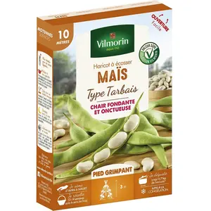 Graines de haricot soissons maïs type tarbais - VILMORIN - 10 M pas cher