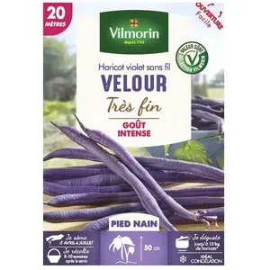VILMORIN Graines de haricot velour gousse violette - 20 M