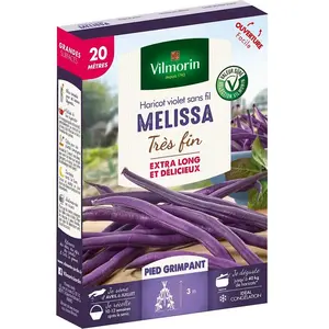 VILMORIN Graines de haricot mélissa à cosse violette - 20 M