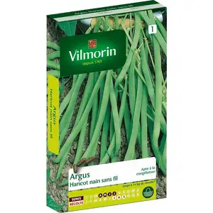 VILMORIN Graines de haricot argus - Marron bleuté