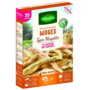 VILMORIN Graines de haricot mogex - 20 M
