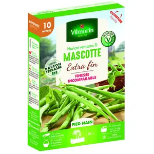 VILMORIN Haricot mascotte 10m pas cher