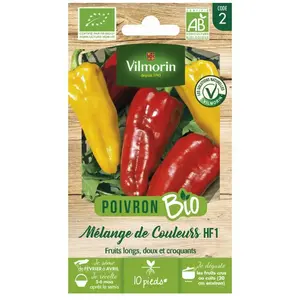Poivron mélange de couleurs bio Vilmorin pas cher