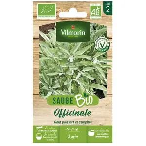 VILMORIN Graines de sauge - Bio pas cher