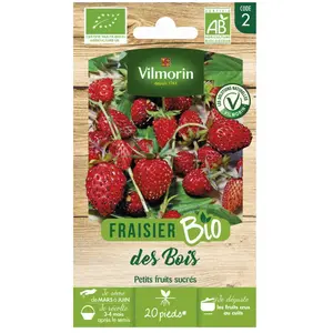 VILMORIN Graines de fraisier des bois pas cher
