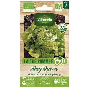 Laitue May Queen Vilmorin pas cher