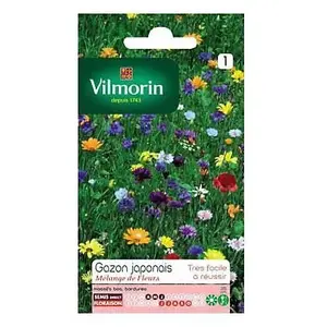 Gazon japonais - VILMORIN - Graine - Fleurs - Bordure - Jaune - Soleil