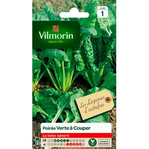 VILMORIN Poiree verte a couper pas cher