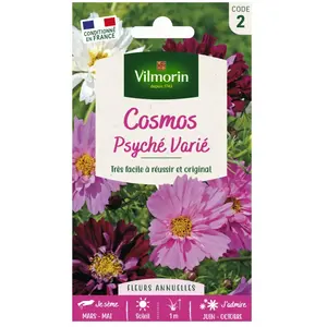 Comparateur de prix : VILMORIN Cosmos Psychée varié