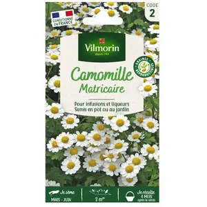 Vilmorin 5874042 Camomille Blanc 9 x 0,5 x 16 cm pas cher