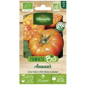 TOMATE ANANAS JAUNE BIO VILMORIN