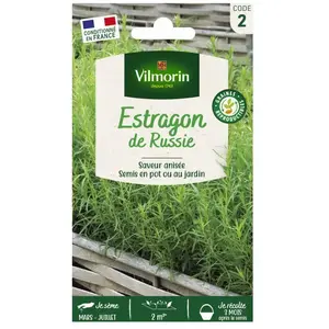 ESTRAGON DE RUSSIE VILMORIN pas cher
