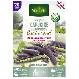 VILMORIN Graines de Pois à Rames Capucine ( Blauwshokker ) - 20 mètres-