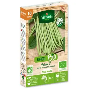 Haricot nain vert sans fil Oxinel 2 bio 10m Vilmorin