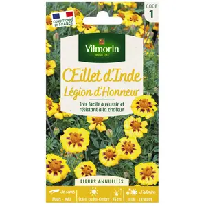 Vilmorin - Oeillet d'Inde Légion d'honneur pas cher