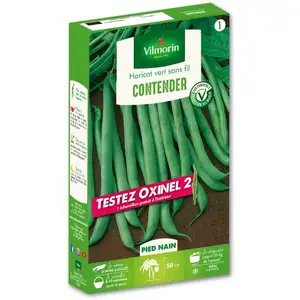 HARICOT CONTENDER +ECHANTILLON HARICOT OXINEL 2 VILMORIN pas cher