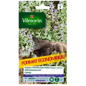Vilmorin - Cataire Menthe Chats Gm Vl 2 pas cher
