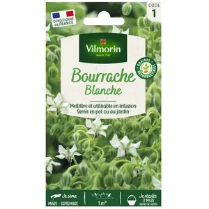 VILMORIN Sachet graines Bourrache Blanche-