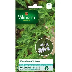 VILMORIN Sachet de graines Verveine Officinale-