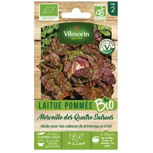 Laitue pommée merveille des 4 saisons bio Vilmorin pas cher
